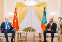 البعد الأمني لزيارة الرئيس أردوغان إلى إثيوبيا