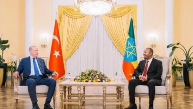 البعد الأمني لزيارة الرئيس أردوغان إلى إثيوبيا
