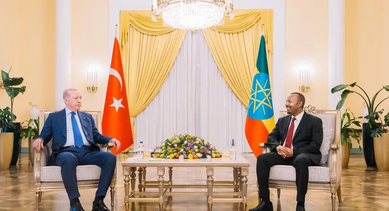 البعد الأمني لزيارة الرئيس أردوغان إلى إثيوبيا 46 البعد الأمني لزيارة الرئيس أردوغان إلى إثيوبيا