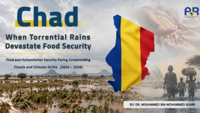 تشاد موقع انكليزي